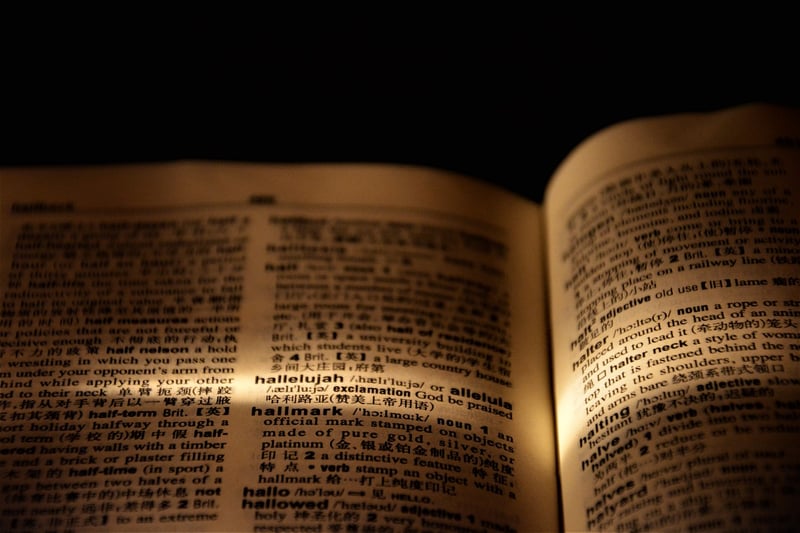 Language Guide
